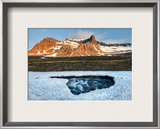 Delicate Ice in Spring