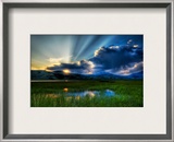 A soft summer night in the marsh