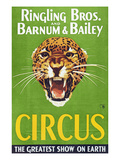 Circus Poster  1940S
