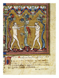 Adam And Eve