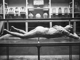 Pompeii: Plaster Cast