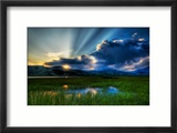 A soft summer night in the marsh