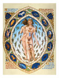 Anatomical Man