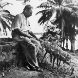 Albert Schweitzer