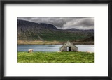The Sheep and the Lonely House