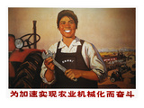 China: Poster  1971