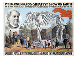 Jumbo Skeleton