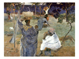 Gauguin: Martinique  1887