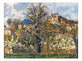 Pissarro: Garden  1877