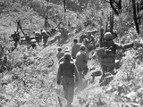 Korean War: Triangle Hill