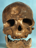 Cro-Magnon Skull