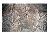 Tiglath Pileser Iii