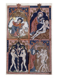 Scenes From Genesis