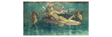 Pompeii  Italy: Venus