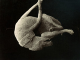 Pompeii: Plaster Cast