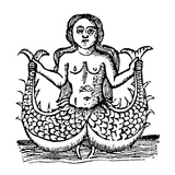 Mermaid  1520