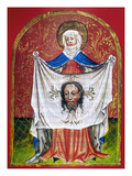 Veronica'S Veil