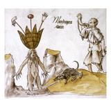 Mandrake And Herbalist