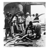 Mombasa: Ivory Trade