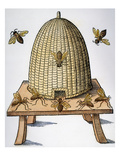 Beehive  1658