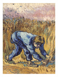 Van Gogh: The Reaper  1889