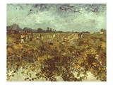 Van Gogh: Vineyard  1888