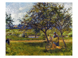 Pissarro: Wheelbarr  1881