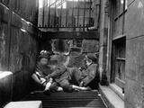 Riis: New York  1901