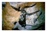 Bull: Lascaux  France