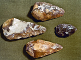 Paleolithic Tools