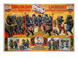 Circus Poster  1899