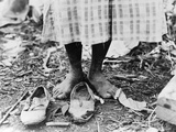 Cotton Picker  1937