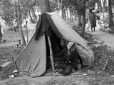 Homeless Boy  1937