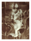 Raoul Ubac: The Nebula