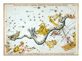 Constellation: Hydra