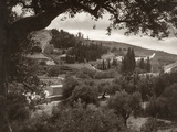 Mount Of Olives