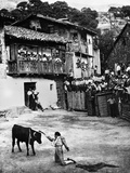 Spain: Bullfight