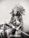 Sioux Leader  1891
