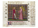 Romance Of The Rose