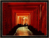 Tunnel of Torii-Arches  Fushimi Inari Shrine  Kyoto  Japan