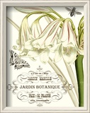 Jardin Botanique I