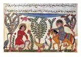 Arabic Physician