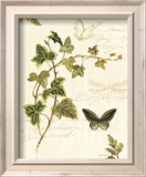 Ivies and Ferns IV