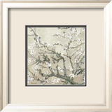 Almond Branches in Bloom  San Remy  c1890 (tan)