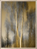 Composited Image of Trees