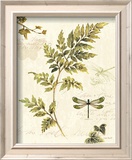 Ivies and Ferns III