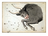 Constellation: Taurus