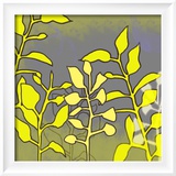 Graphic Floral Four