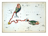 Constellation: Pisces