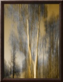 Composited Image of Trees